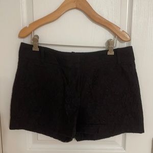 Loft Lace Black Shorts